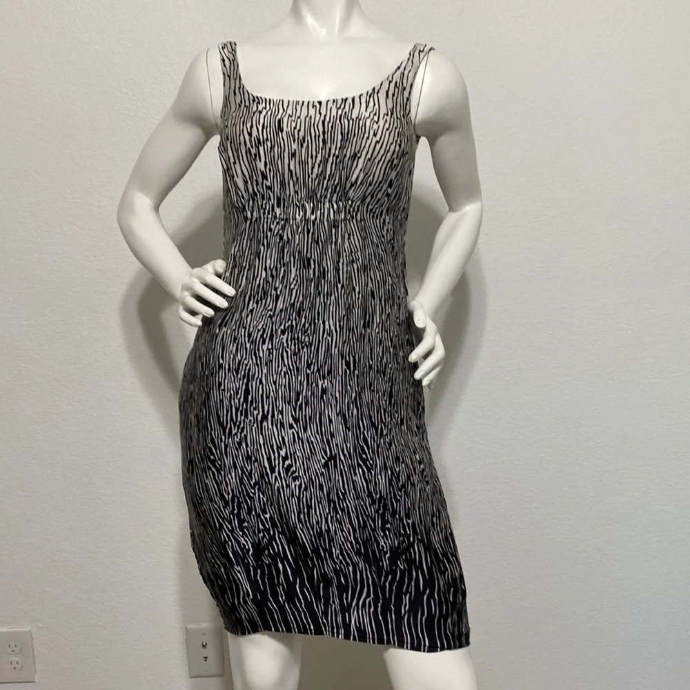 Zara Printed Dress